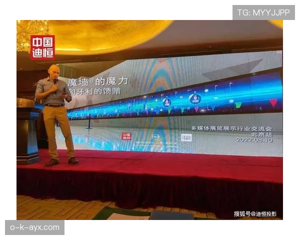 匈牙利魔力吸引全球投资者，经济复苏与创新发展成焦点